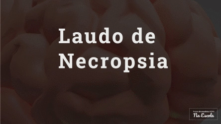 laudo de necropsia