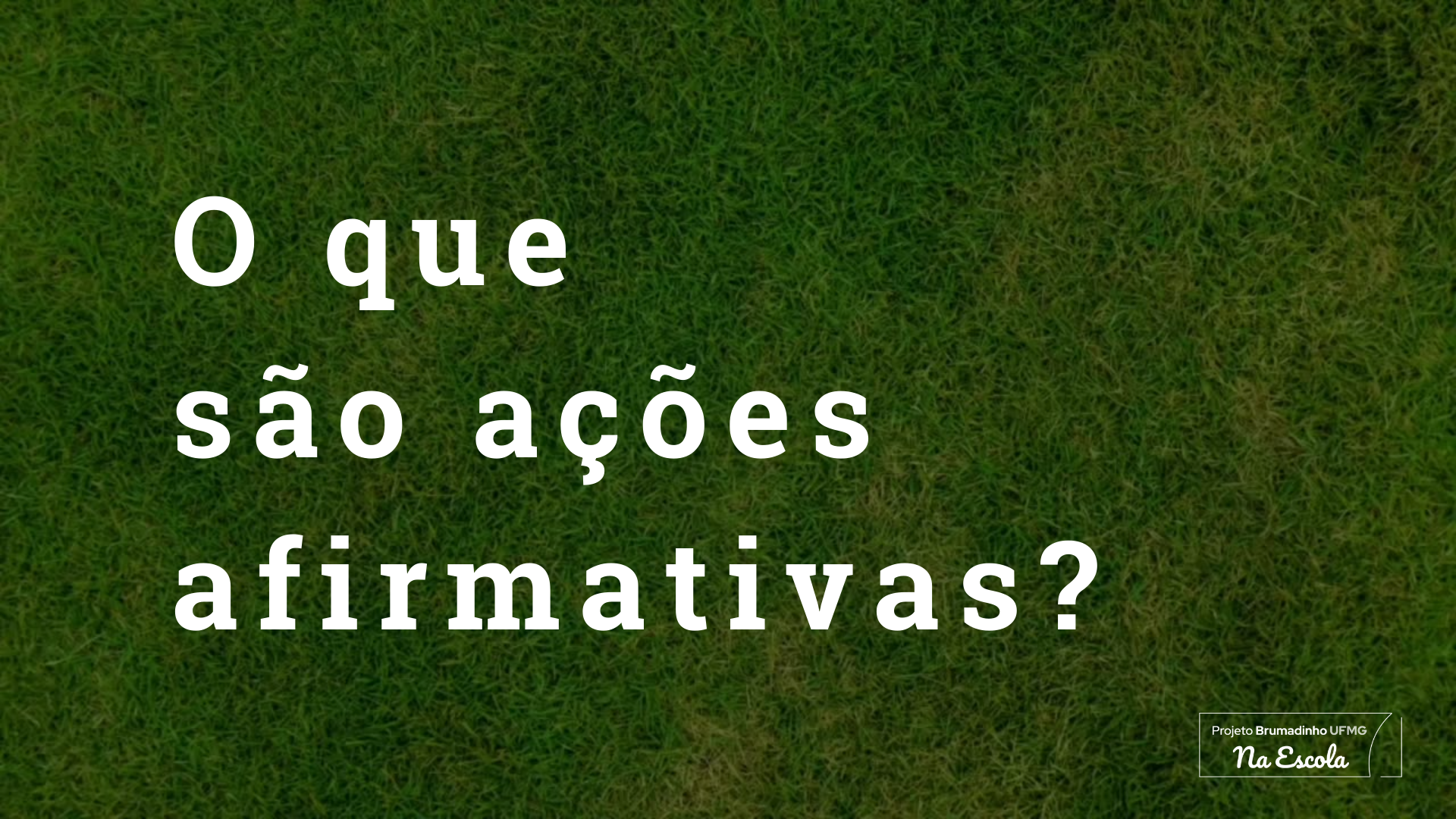 ações afirmativas