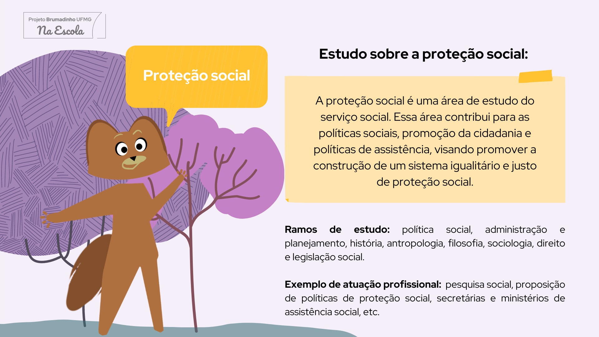 proteção social