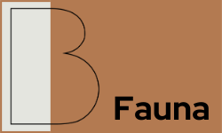 fauna