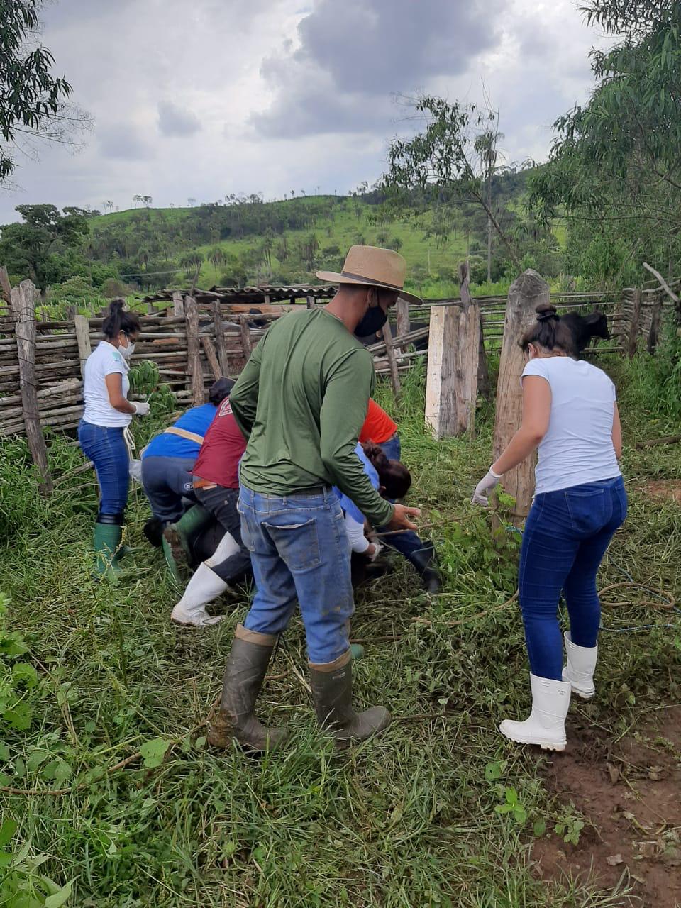 Pesquisadores fazendo a coleta em uma propriedade rural