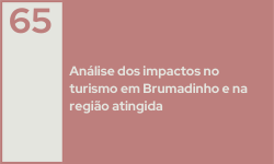 65 Análise dos impactos no turismo em  Brumadinho e na região atingida